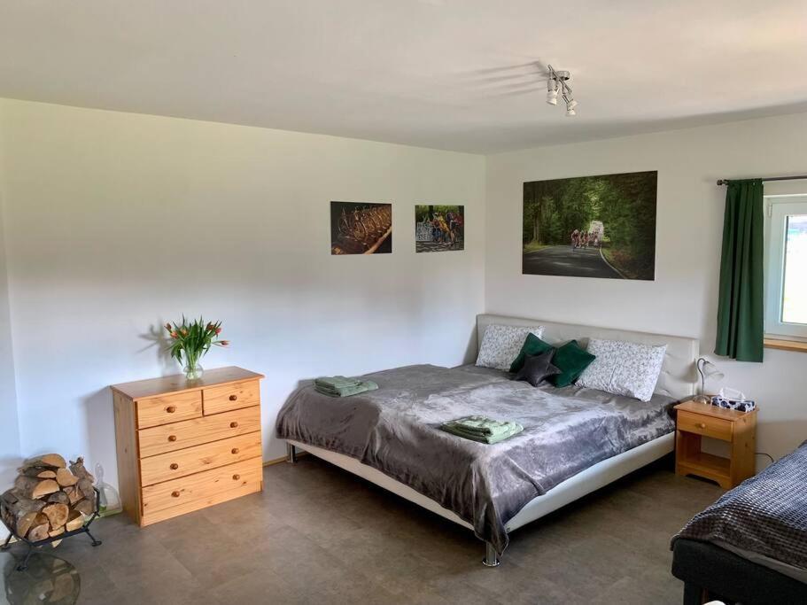 Apartment Tour Bohemian Switzerland Horni Podluzi Dış mekan fotoğraf