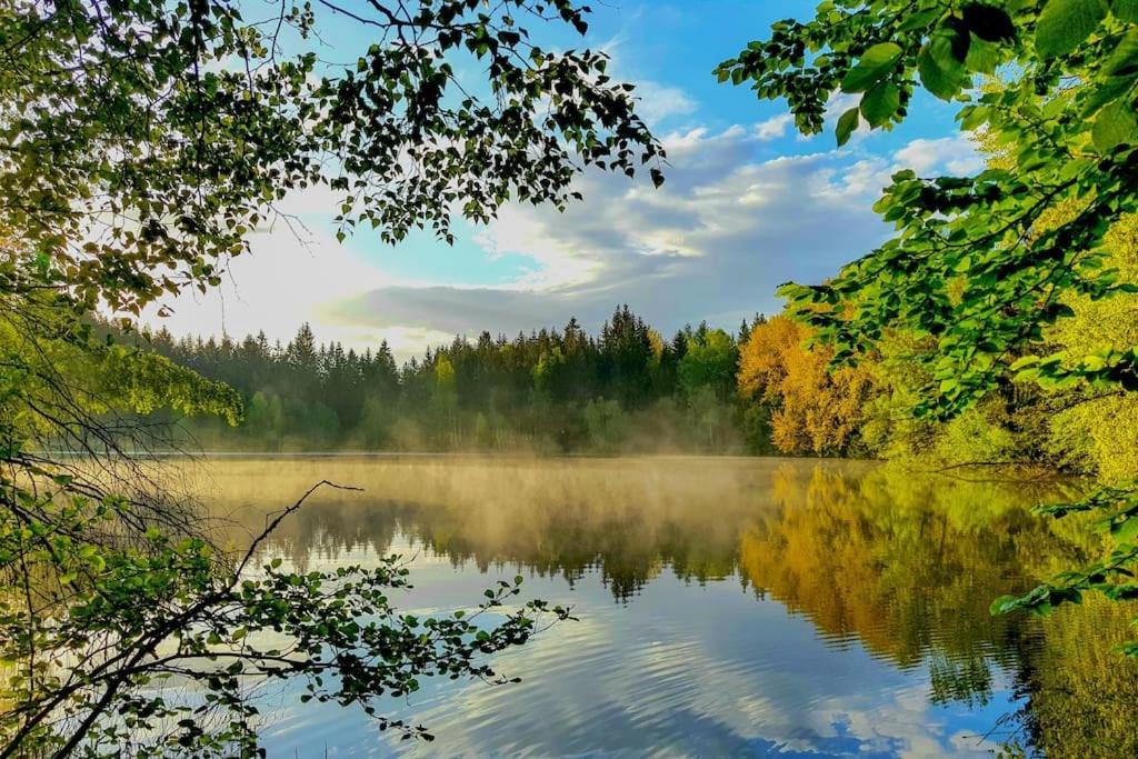 Apartment Tour Bohemian Switzerland Horni Podluzi Dış mekan fotoğraf