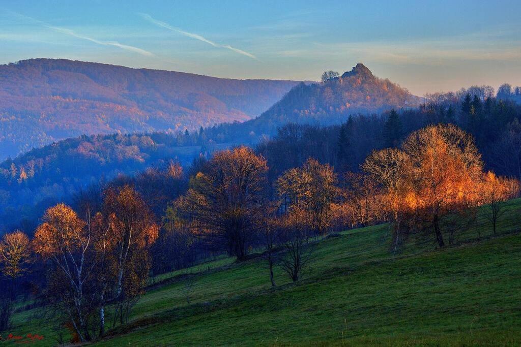 Apartment Tour Bohemian Switzerland Horni Podluzi Dış mekan fotoğraf